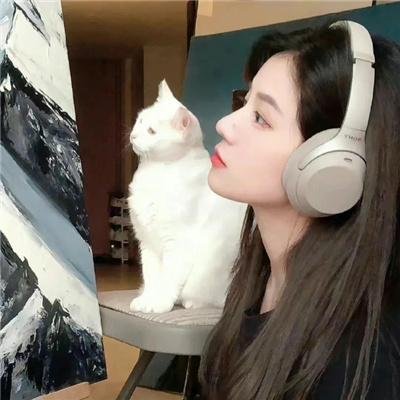 生命中的岛屿